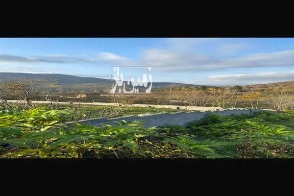 ۳۰۰ متر زمین مسکونی با ویو ابدی در روستای لاجیم - تصویر 3