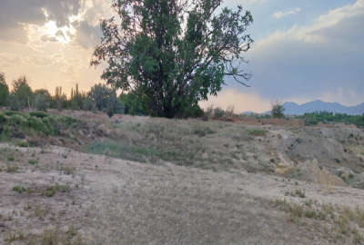 زمین کشاورزی ۱۴۰۰ متر در دشت لورک روستای اسفید واجان
