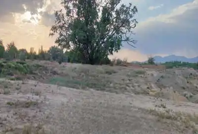زمین کشاورزی ۱۴۰۰ متر در دشت لورک روستای اسفید واجان