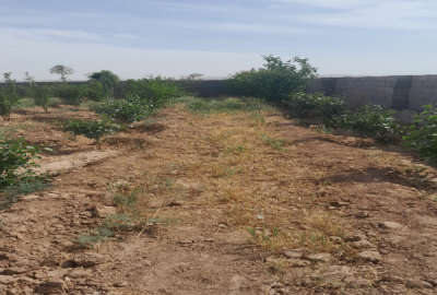 زمین چهاردیواری روستای قرمزتپه ۱۶۰۰ متر