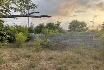 زمین باغی دو نبش داخل بافت ۲۵۰ متر