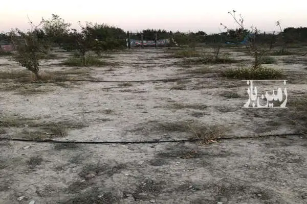 ۶۴۰ متر زمین باغ در فیروز بهرام گلدسته ترشنبه - تصویر 2