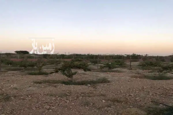 ۶۴۰ متر زمین باغ در فیروز بهرام گلدسته ترشنبه - تصویر 4