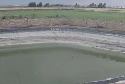 زمین کشاورزی ۹۶۰۰۰ متر ورامین مجاورت شهر جواداباد