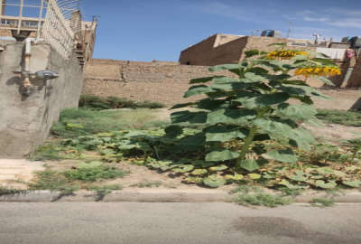 زمین مسکونی ۹۰ متری شهرک سبزدشت