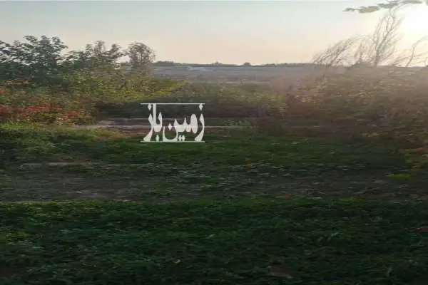 باغ ۵۱۰ متری با بنا و امکانات کامل در خیراباد - تصویر 4