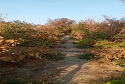 باغ ۵۱۰ متری با بنا و امکانات کامل در خیراباد