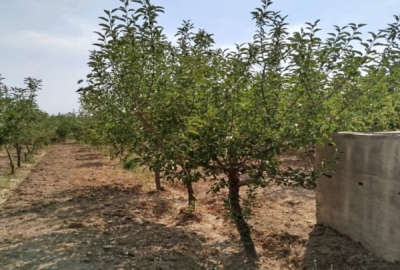 زمین کشاورزی در اراک محدوده جاده هزاوه ۱۰۰۰ متر