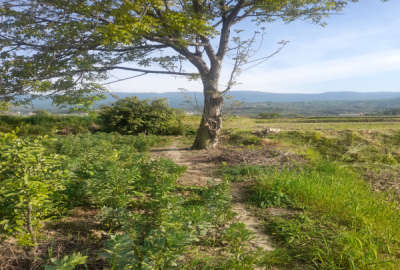 باغ ۴ هزار متری در روستای پاسند دارای چاه با جواز