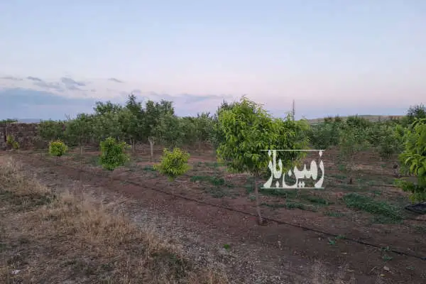 یک هکتار باغ روستای سربندان دور دیوار آبیاری قطره ایی - تصویر 3