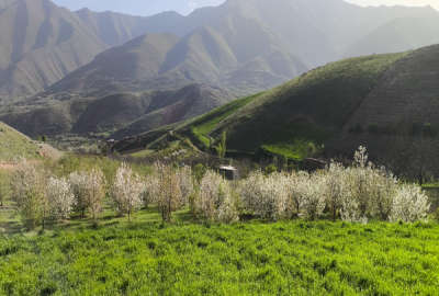زمین کشاورزی روستای کرجو مجهز به برق و آب ۴۰۰۰ متر