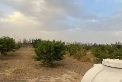 باغچه در احمدآباد مستوفی رضی آباد با ۵۹۳ متر زمین
