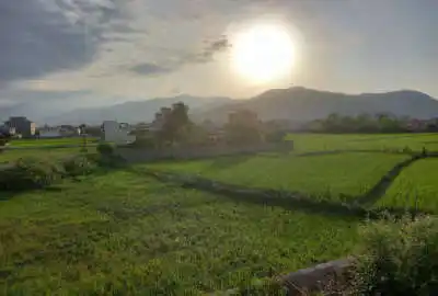 ۳۰۰ متر زمین کوهپایه ای کاربری مسکونی در پونل