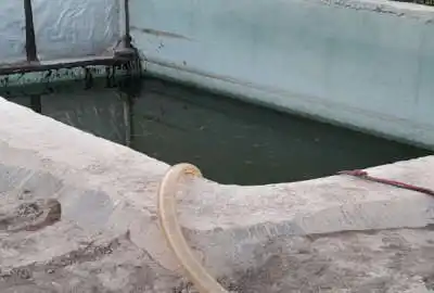 باغ پسته ۱۲۰۰ متری با امکانات سهم آب هفتگی و آب لوله کشی