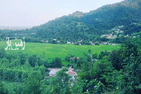 زمین ۷۶۰ متر کوه پایه ای شاندرمن روستای دران با مجوز ساخت - تصویر 2