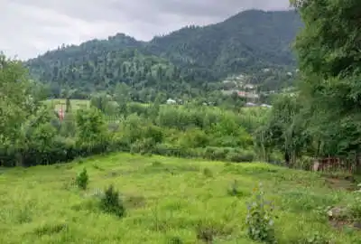 زمین ۷۶۰ متر کوه پایه ای شاندرمن روستای دران با مجوز ساخت