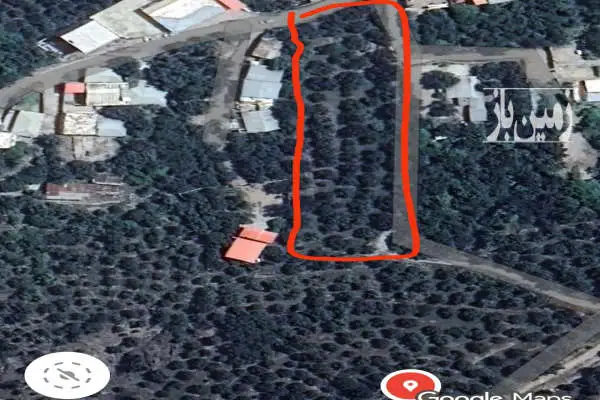 ۳۱۷۸ متر زمین مسکونی باغی در بافت روستای دشتکان - تصویر 2