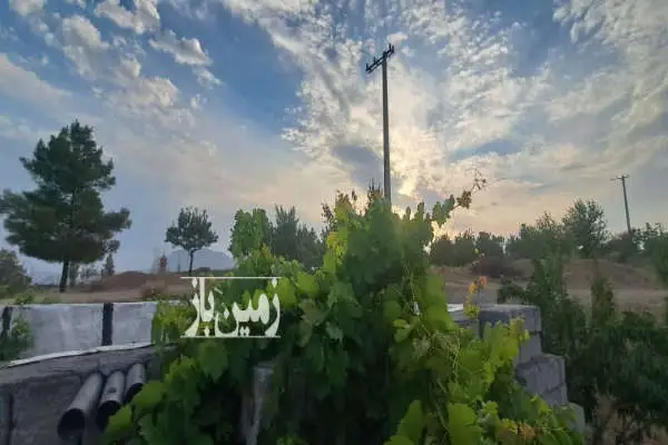 باغ ۳۰۰۰ متری مثمر سامان روستای توریستی شوراب صغیر - تصویر 3