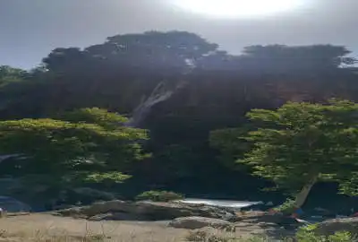 زمین مسکونی ۱۷۲ متر در حاجی اباد با مجوز دو طبقه ساخت و وام
