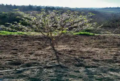 باغ ویلایی ۴۰۰ متر جاده نکا روستای مرمت نشومی محله