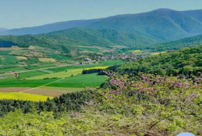 زمین مسکونی ۲۰۰ متر داخل بافت روستای الازمن