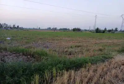 زمین کشاورزی ۱۴۰۰ متر ساری روستای شرفدارکلا سفلی