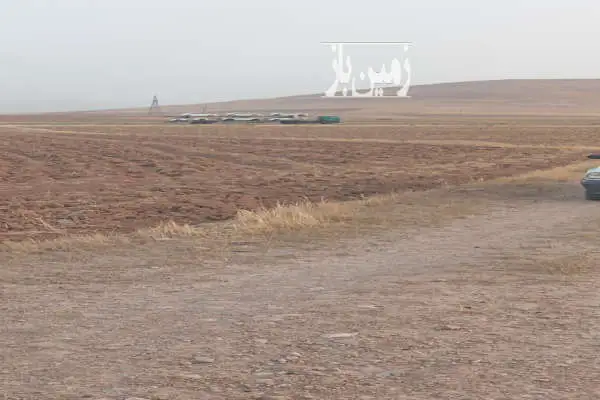 زمین کشاورزی دیمی ۲۵۵۰ متر در روستای کوسه کهریزه - تصویر 2