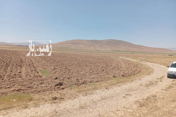 زمین کشاورزی دیمی ۲۵۵۰ متر در روستای کوسه کهریزه-4