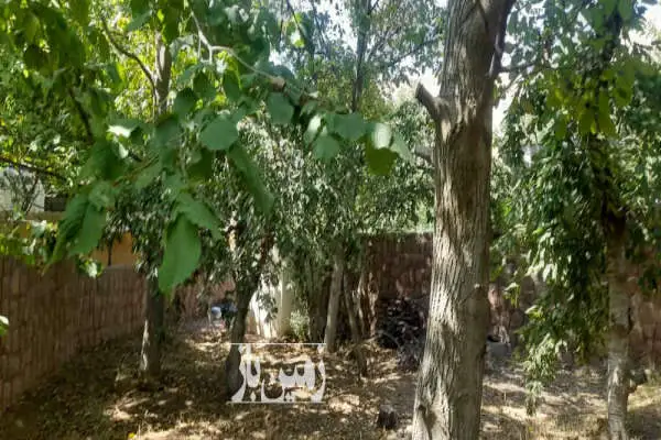 باغ ۲۸۰ متری در فشم روستای امامه - تصویر 2