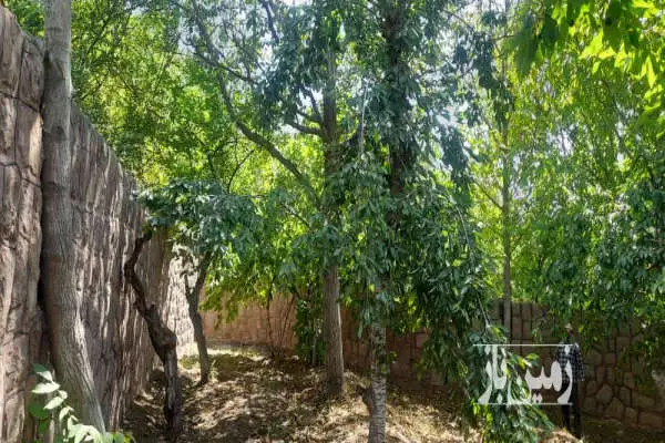 باغ ۲۸۰ متری در فشم روستای امامه - تصویر 3