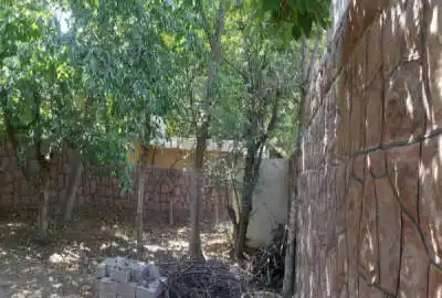 باغ ۲۸۰ متری در فشم روستای امامه