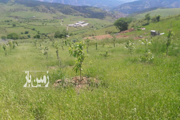 زمین باغ کلاردشت گلکاه ۱۴۰۰ متر عالی-1