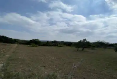 زمین مسکونی به مساحت ۵۸۰ متر در روستای درونکلا بزچفت