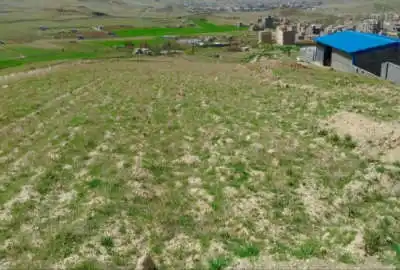 زمین کشاورزی ۳۰۰۰ متری در سنندج روستایی