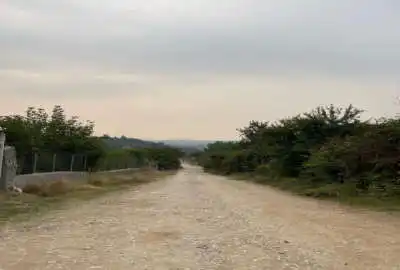 زمین باغی زراعی در روستای وسطی کلاه قایمشهر ۸۰۰ متر