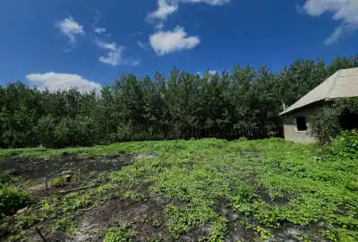 ۳۰۰ متر زمین با کاربری مسکونی روستای شیرجوپشت