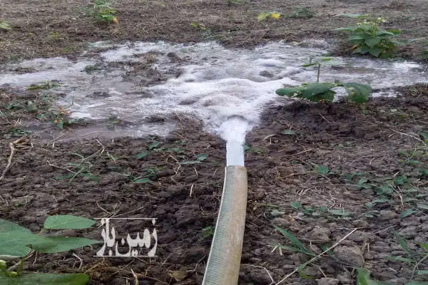 ۱۶۲۰ متر باغ مرکبات دارای چاه آب و برق کشاورزی روستای رگندشت - تصویر 3
