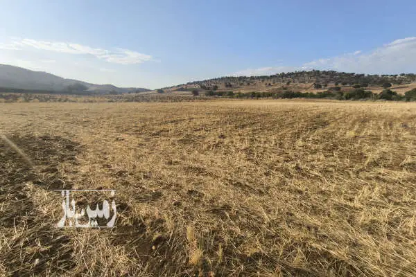 زمین مسکونی مناسب خانه باغ ۸۸۰ متر روستای فیروزآباد - تصویر 2
