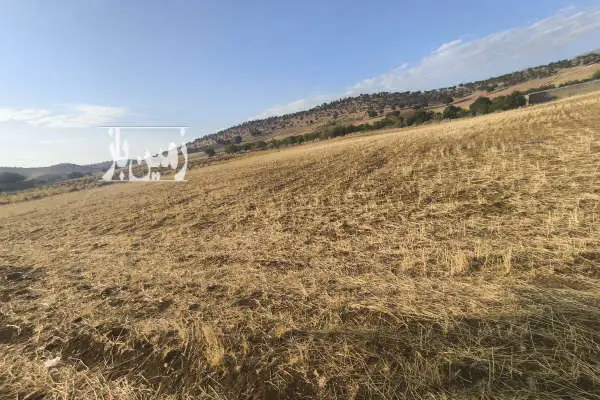 زمین مسکونی مناسب خانه باغ ۸۸۰ متر روستای فیروزآباد - تصویر 3