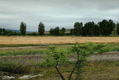زمین به متراژ ۳۰۰ متر واقع در روستای ییلاقی کجور
