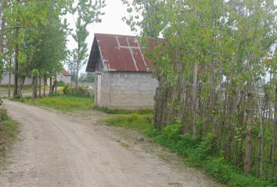 زمین باغی درجای بکر و خلوت مناسب کلبه ۲۵۰ متر