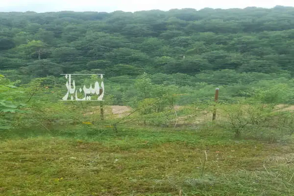زمین مسکونی ۱۶۰ متر داخل بافت منطقه هزارجریب روستای چرمی - تصویر 2