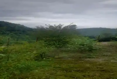 زمین مسکونی ۱۶۰ متر داخل بافت منطقه هزارجریب روستای چرمی