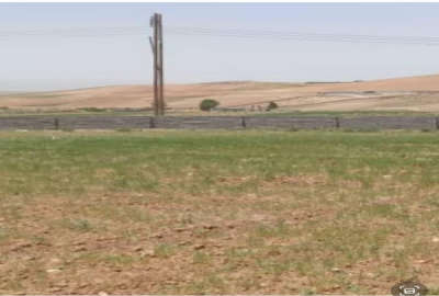 زمین باغ شهری با دیوار دور روستای همت آباد خرک خانزنیان