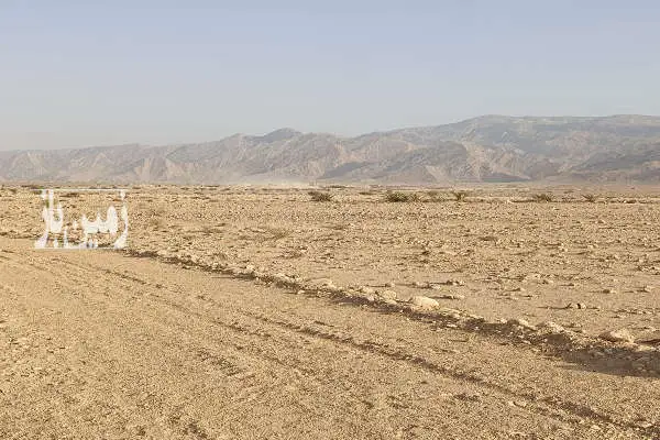 قطعه زمین ۱۰۰۰ متری گراش دشت بالا - تصویر 3