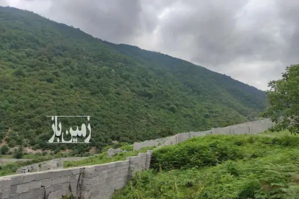 زمین ۴۰۰ متری درلاویج کیاکلا داخل بافت شهرکی - تصویر 2