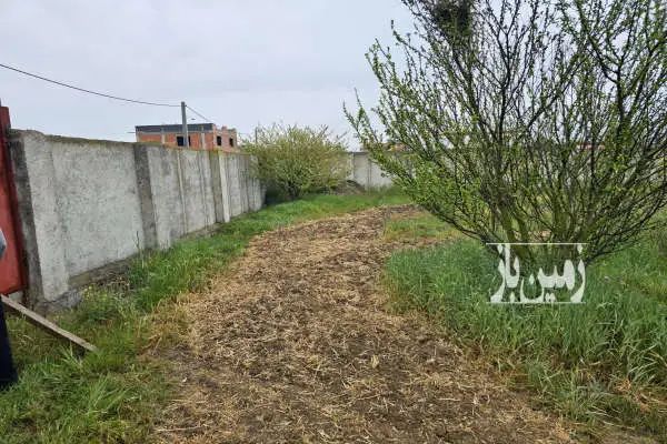 زمین مسکونی ۲۰۰۰ متری در ساری روستای قاجارخیل - تصویر 2