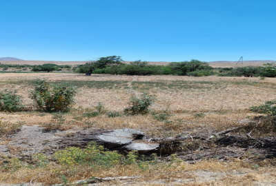 زمین کشاورزی با قابلیت ساخت مسکونی داخل بافت روستای آشمسیان