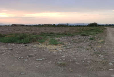 زمین ۱۲۵۰ متری روستای باروج مرند