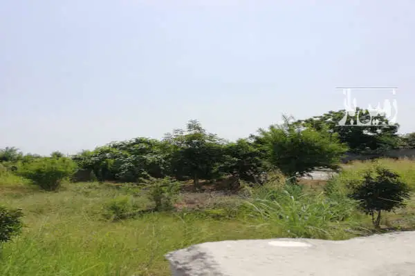 زمین ۸۷۰ متر باغی دوبر الحاق به بافت کمربندی امیرکلا - تصویر 4